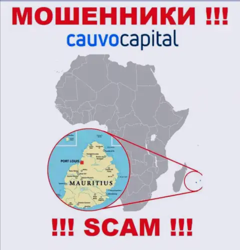 Компания CauvoCapital сливает финансовые активы людей, зарегистрировавшись в офшорной зоне - Mauritius