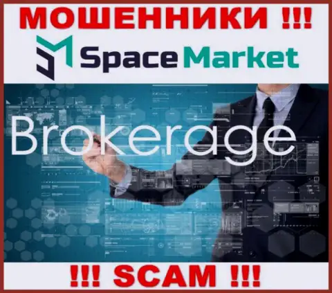 Сфера деятельности незаконно действующей организации Space Market - это Брокер