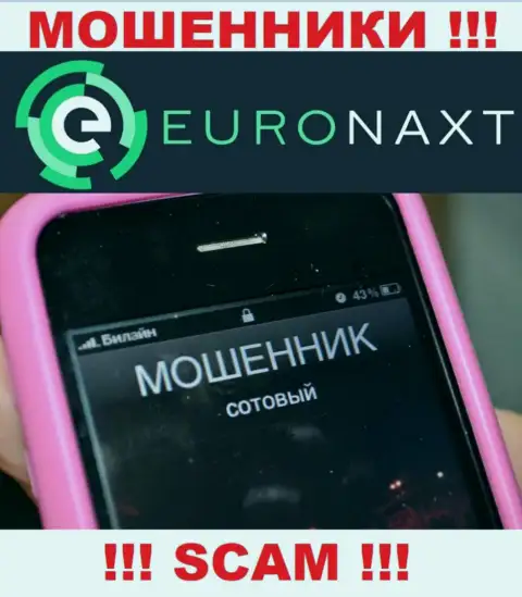 Вас намереваются развести на деньги, EuroNaxt Com ищут новых наивных людей