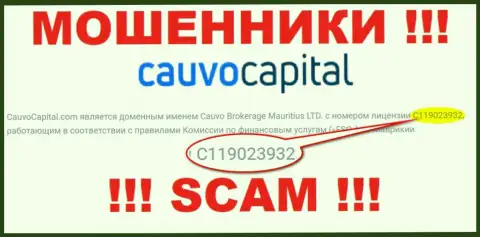 Обманщики CauvoCapital цинично обворовывают наивных клиентов, хоть и показали лицензию на ресурсе
