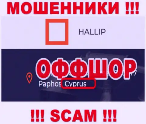 Лохотрон Hallip Com зарегистрирован на территории - Cyprus