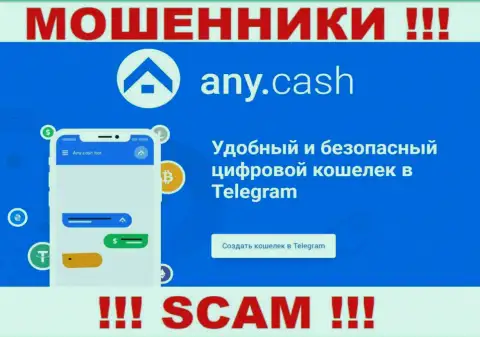 Ани Кеш - это internet-мошенники, их работа - Крипто кошелёк, направлена на кражу денежных вложений наивных клиентов