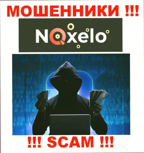 В компании Noxelo не разглашают лица своих руководящих лиц - на официальном сайте сведений не найти
