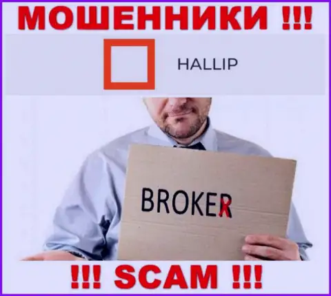 Сфера деятельности мошенников Халлип Ком - это Broker, но имейте ввиду это обман !!!