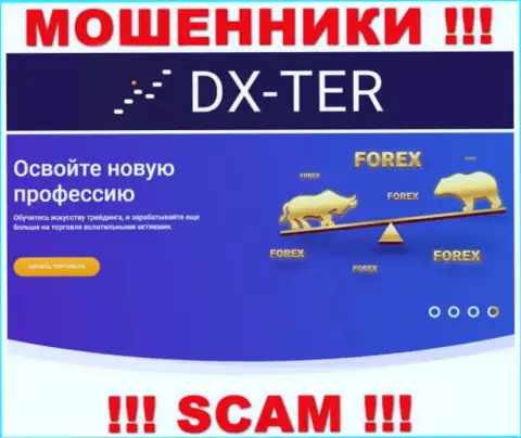 С компанией DX Ter иметь дело нельзя, их направление деятельности Форекс это разводняк