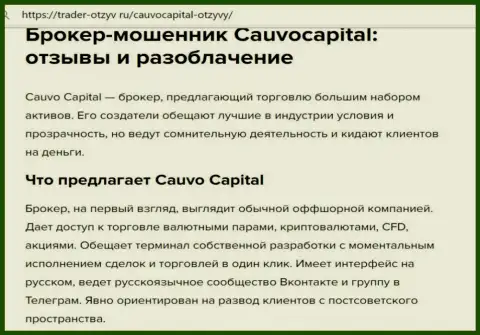 Cauvo Capital - это МОШЕННИКИ !!! обзорная статья с фактами противоправных действий