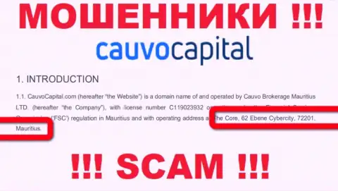 Нереально забрать обратно деньги у организации CauvoCapital Com - они спрятались в офшорной зоне по адресу - The Core, 62 Ebene Cybercity, 72201, Mauritius