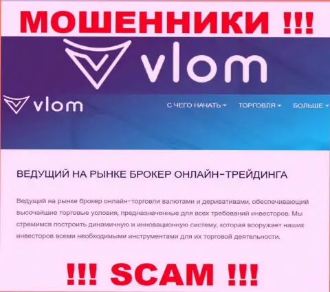 Сфера деятельности преступно действующей компании Vlom Com - это Брокер