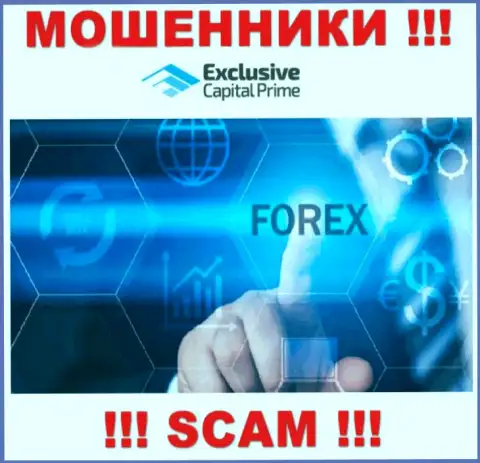 Forex это направление деятельности незаконно действующей конторы ExclusiveCapital